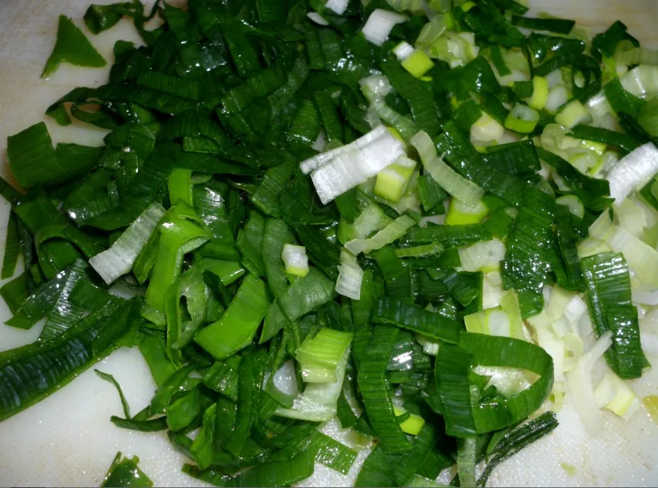 cebollín 1.jpg