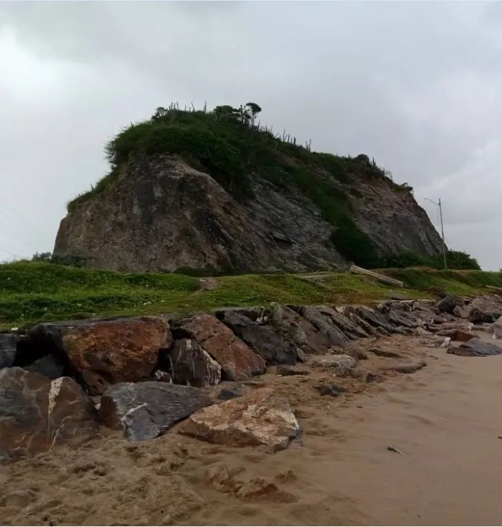 playita (7).png