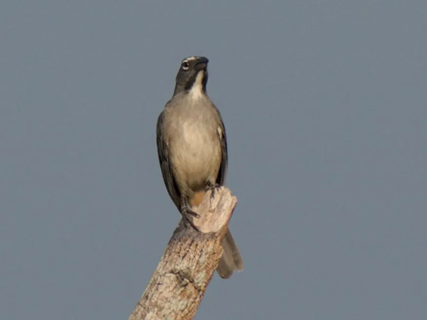 IMGP5597.jpg