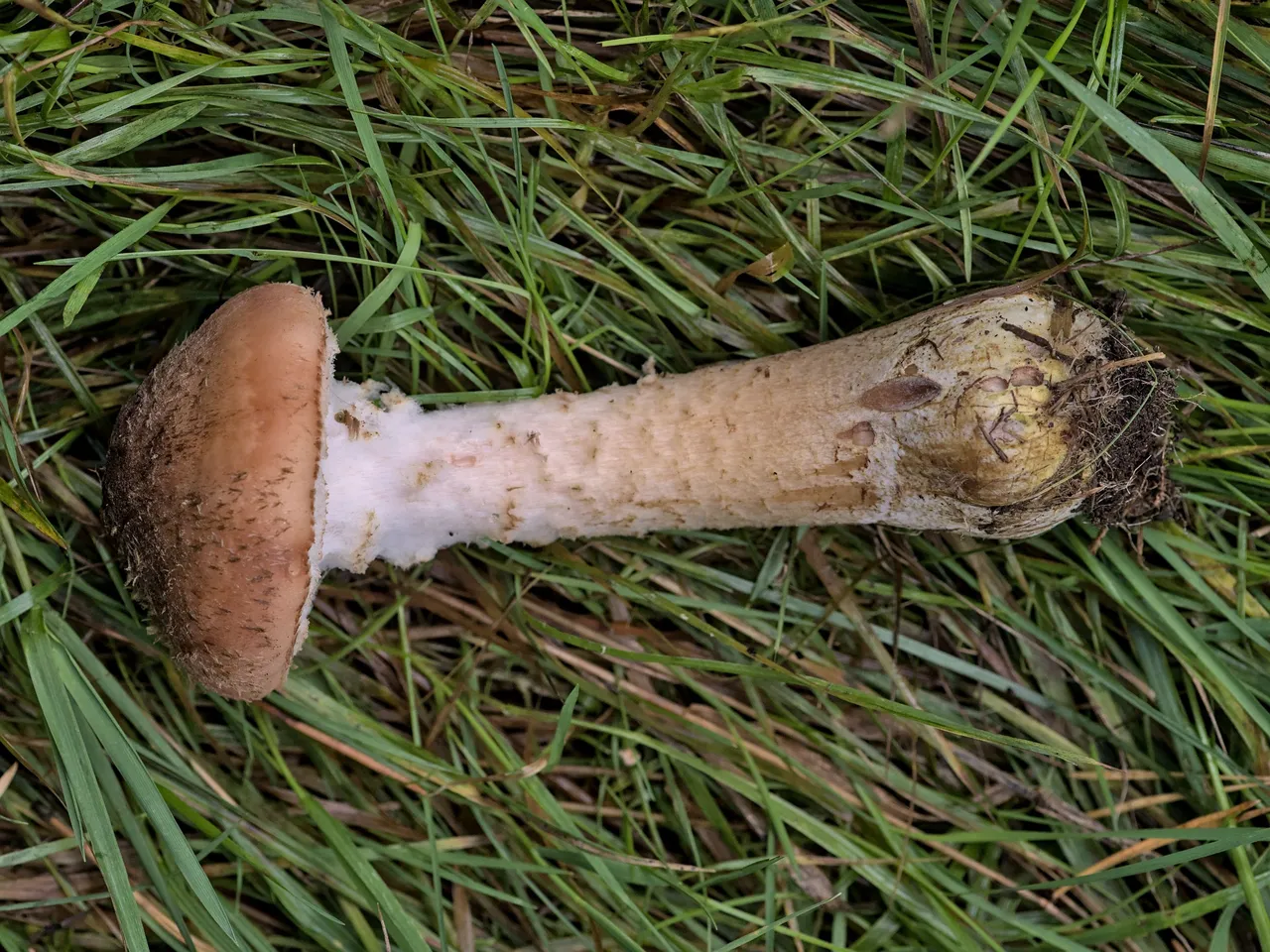 IMGP3649.jpg