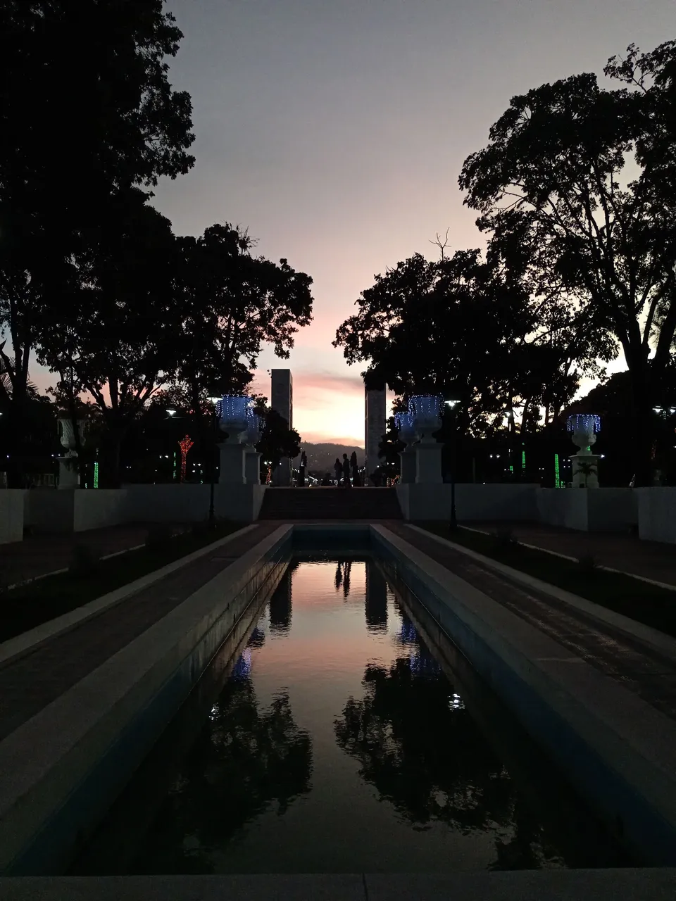 1000217033.jpg