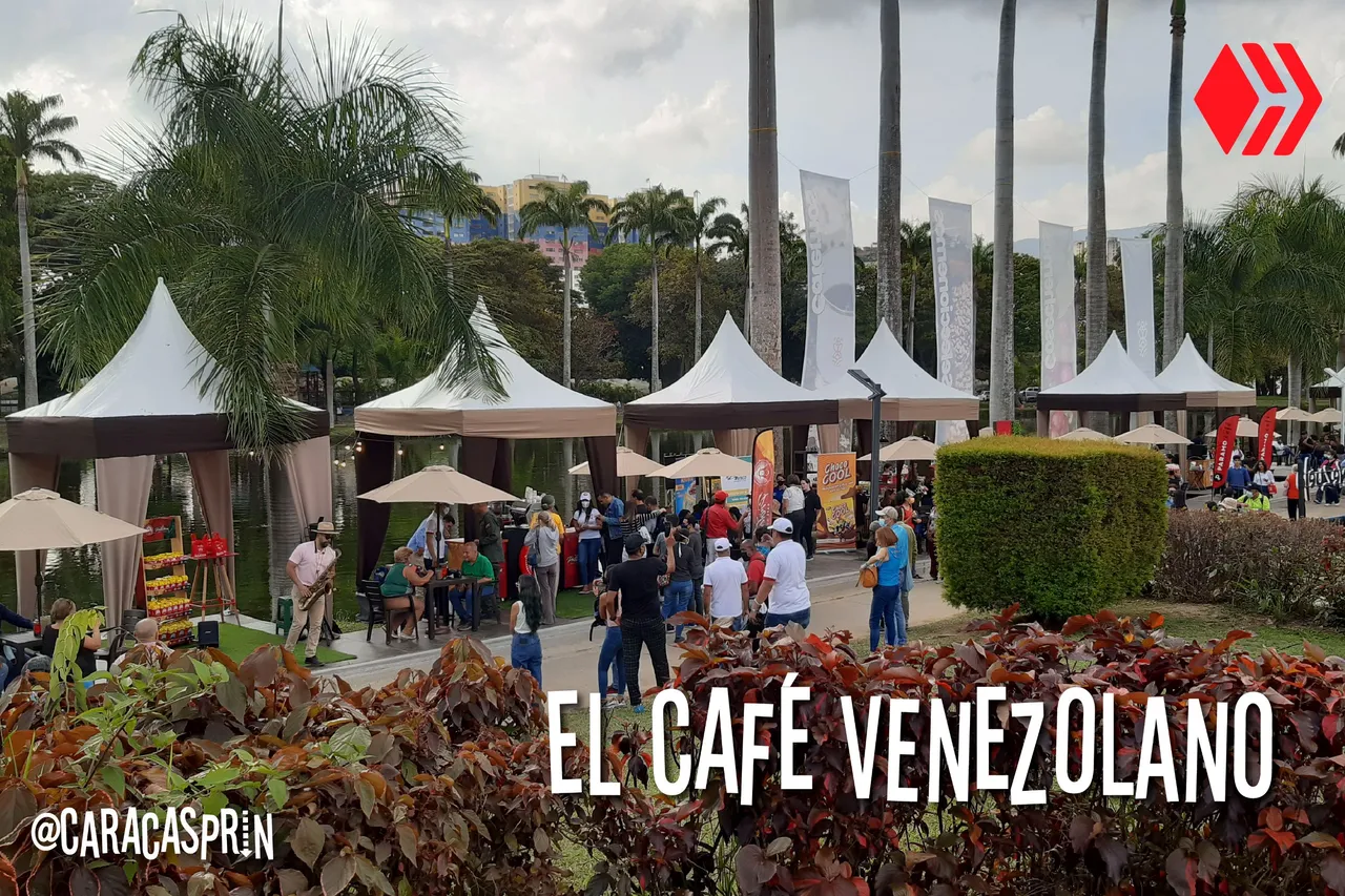 café venezolano-01.jpg