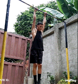 IMG_co46ly.gif
