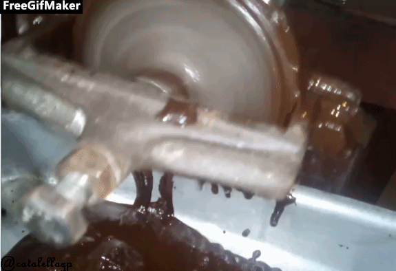 cacao.gif