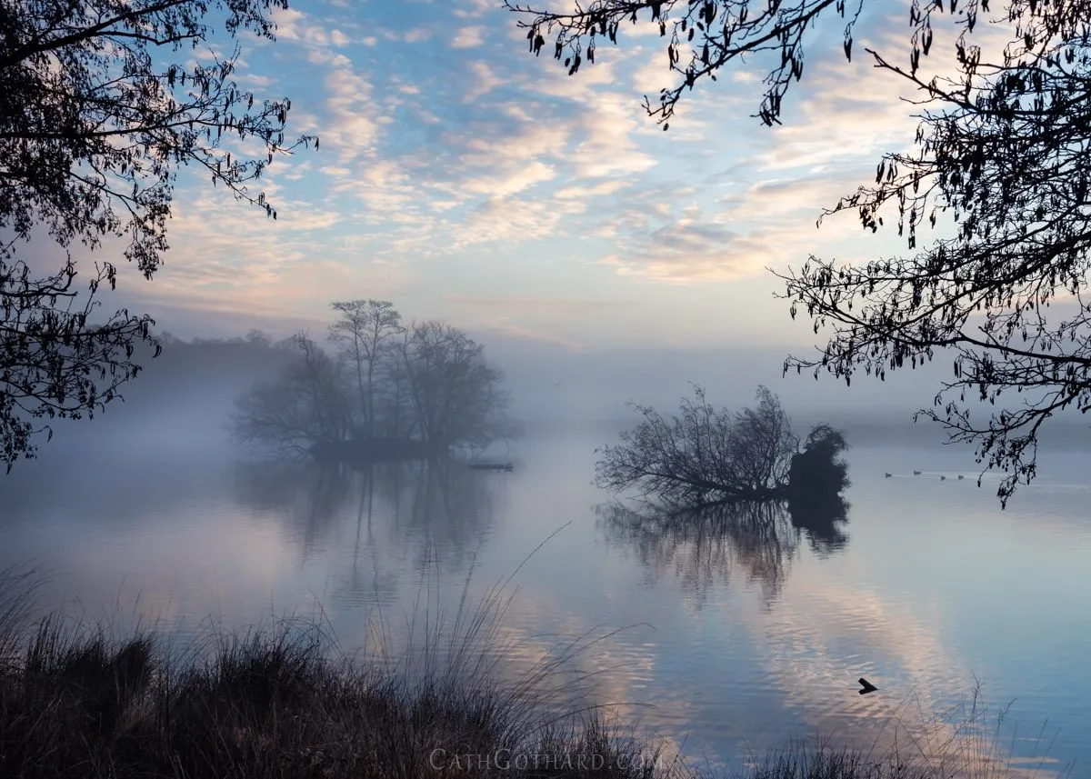 Misty-25.jpg