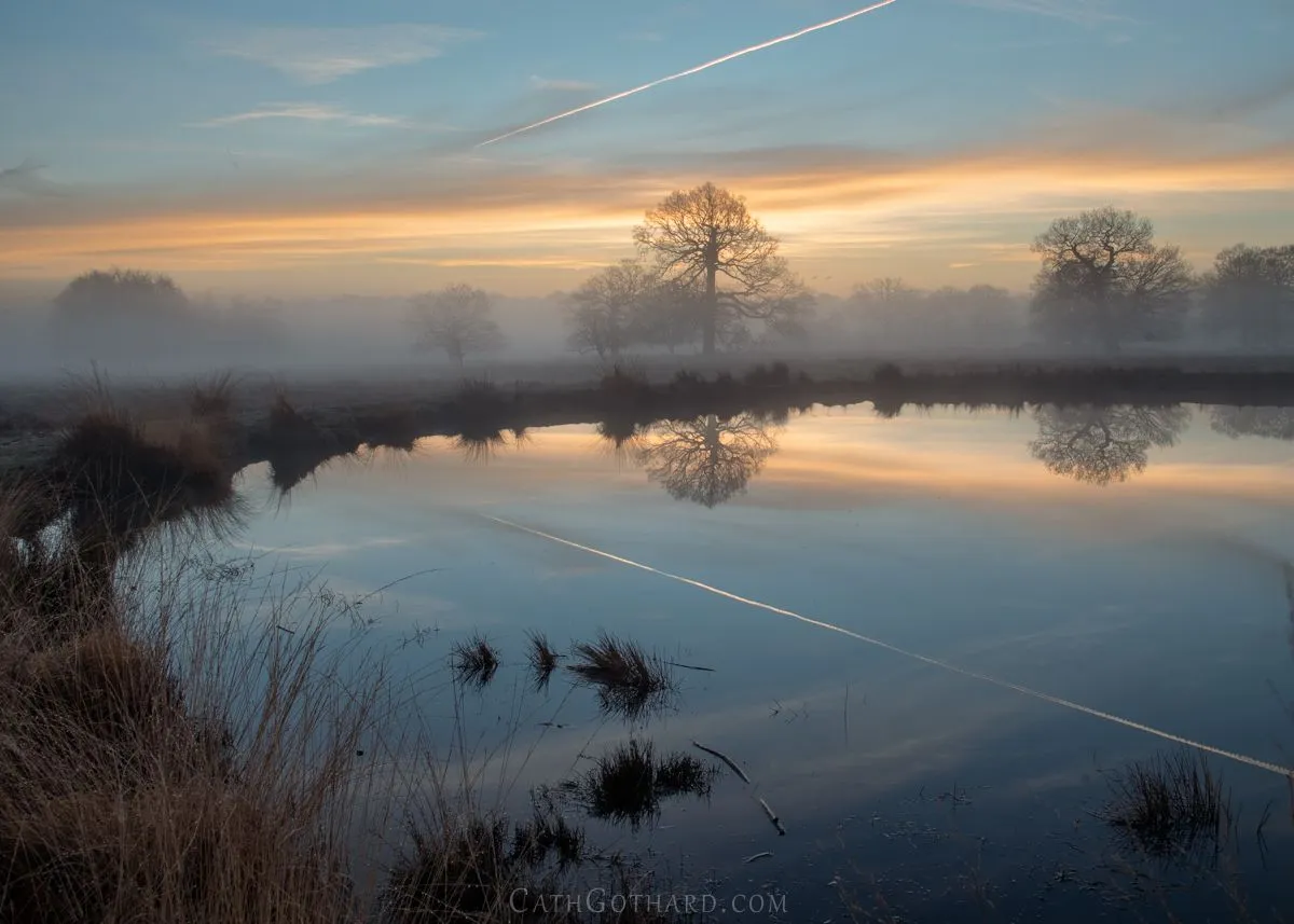 FogPonds-4.jpg