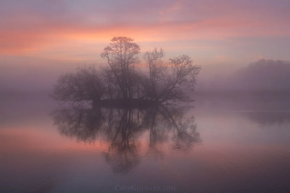 FogPonds-1a.jpg