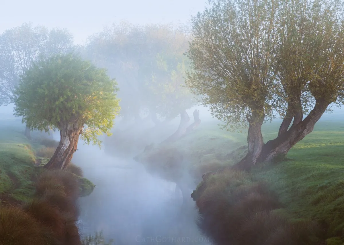 SpringBrook-1.jpg