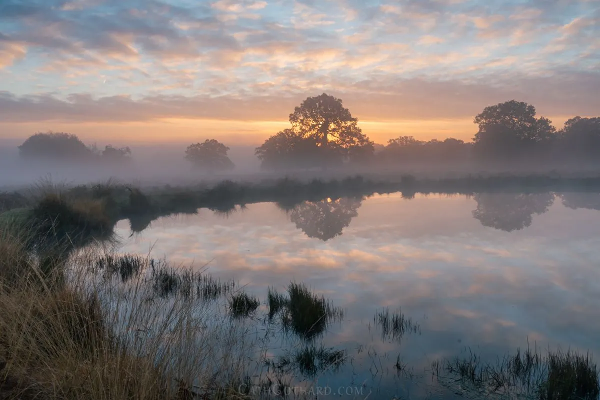 FoggyPonds-1.jpg