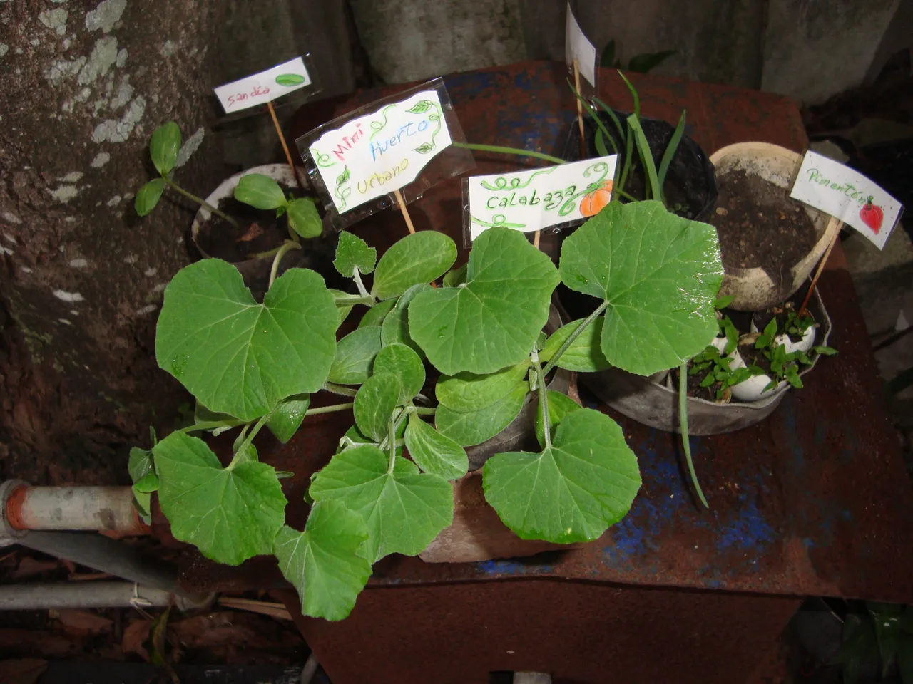 DSC03192.JPG