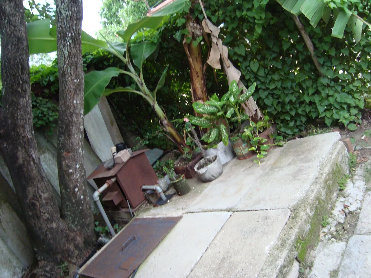 DSC02927.JPG
