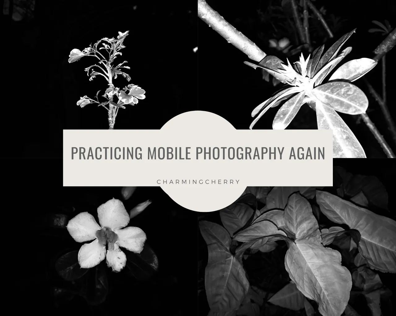 White Green Modern Hiking on Vacation Photo Collage.jpg