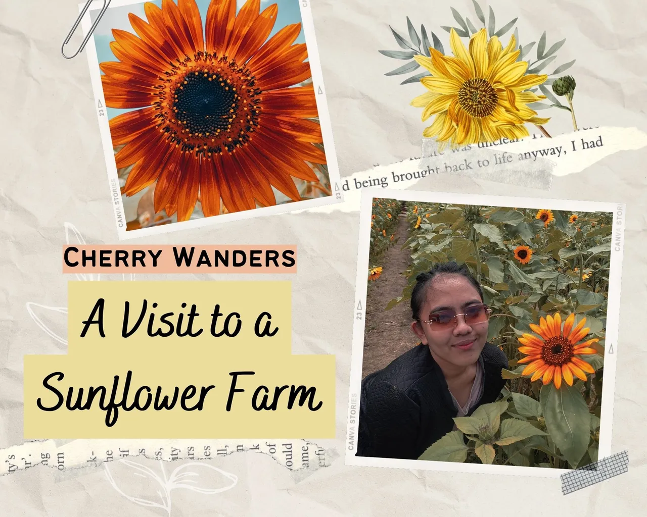 Cherry Wanders A Visit to a Sunflower Farm.jpg