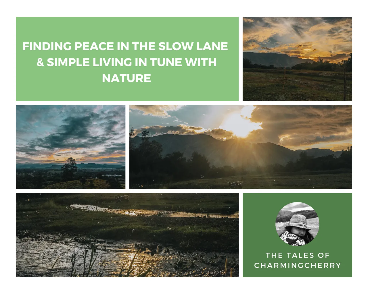 Blog Banner - charmingcherry (1).png