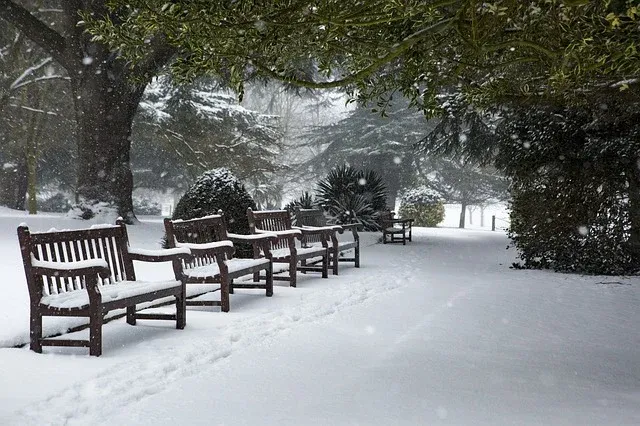 winter-4551699_640.webp