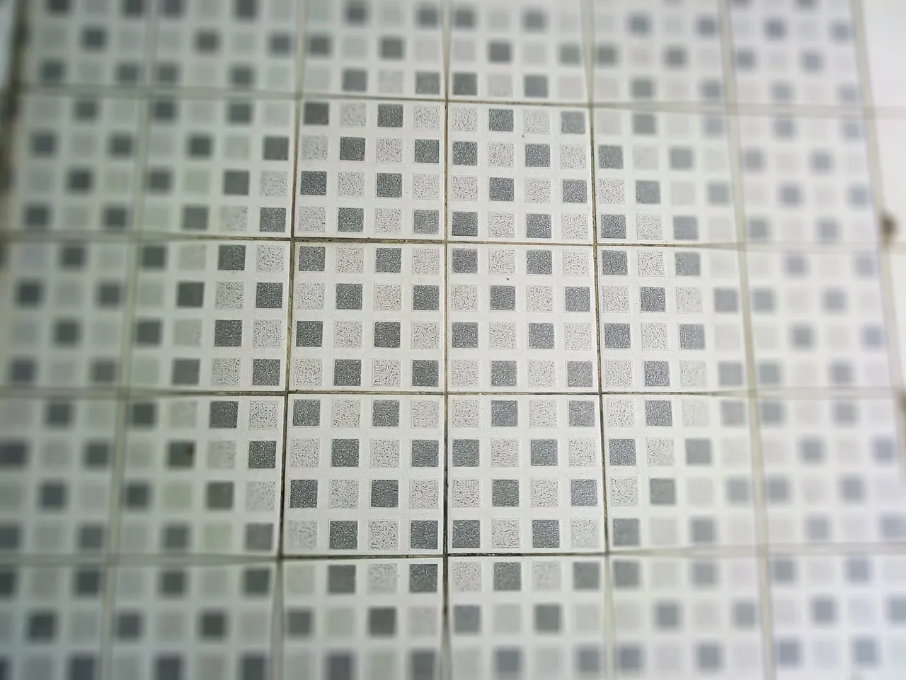 185677191_330362951961177_5988053512921772708_n.jpg