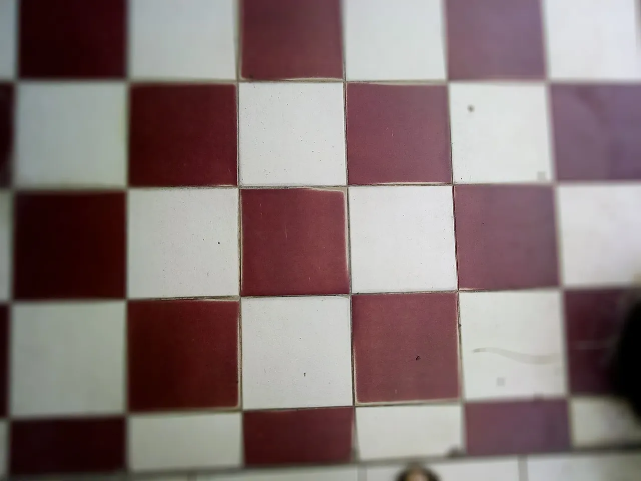 187146173_813453235955220_2122401399593550621_n.jpg