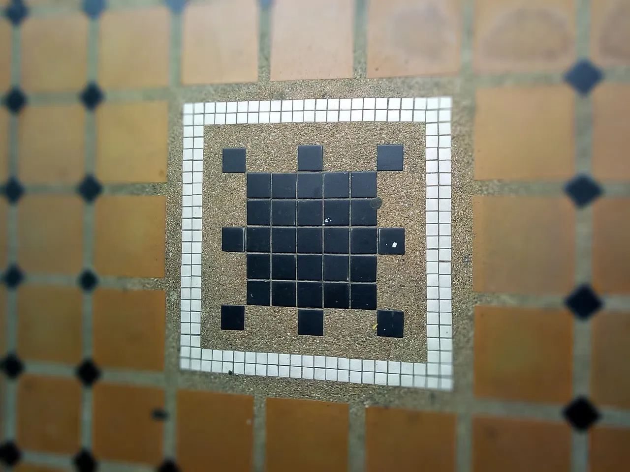 186464444_528614041626766_9132628302348692258_n.jpg