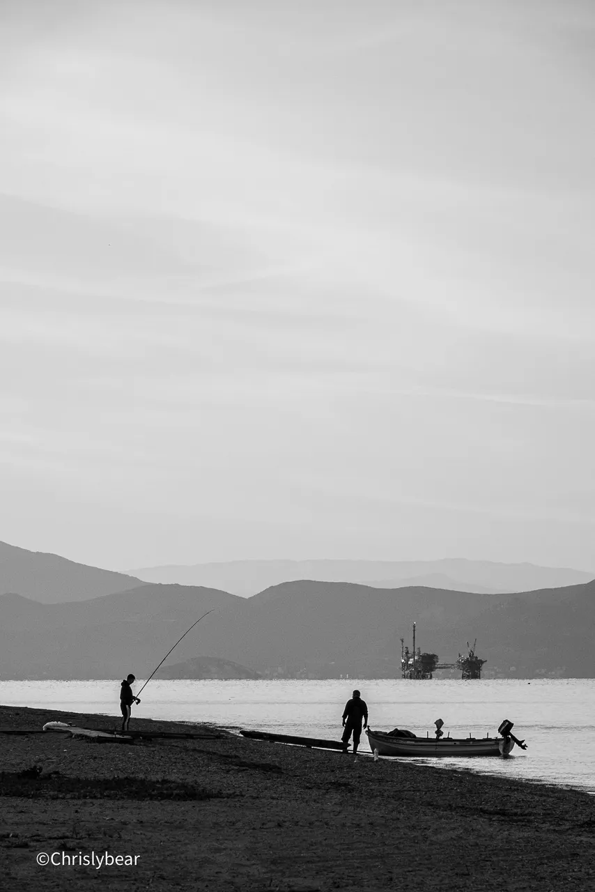 20241021-20241021-DSC08470.jpg