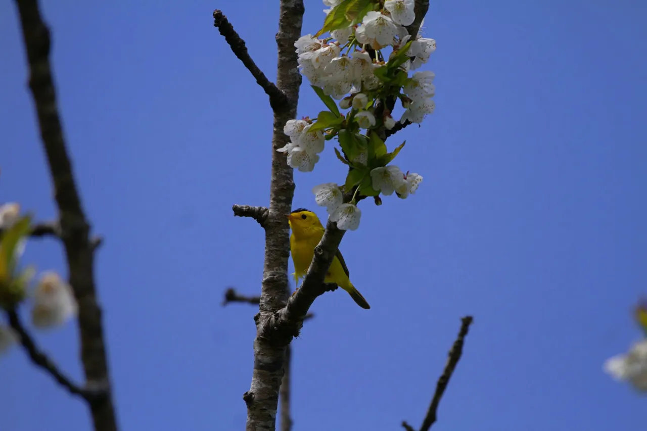 _MG_1085-topaz-enhance-sharpen.JPG