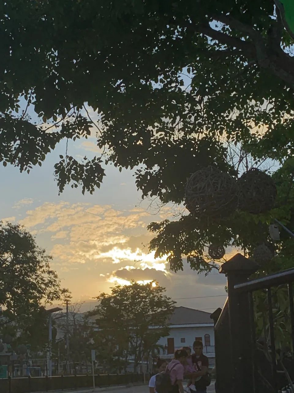 IMG_6600.jpeg