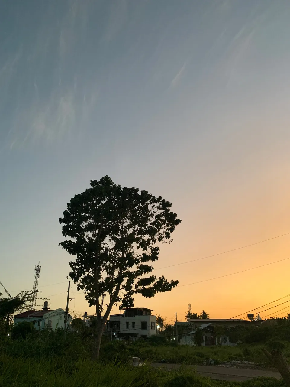 IMG_4482.jpeg