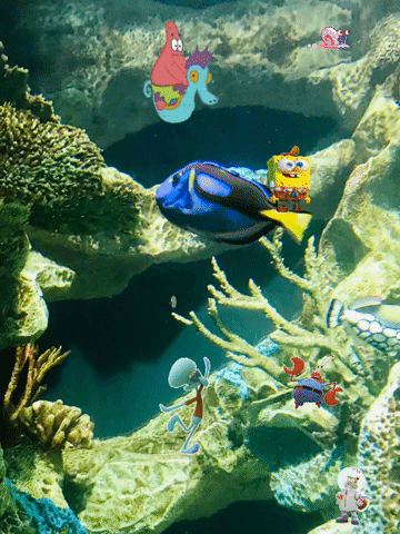 pez y bob esponja.gif