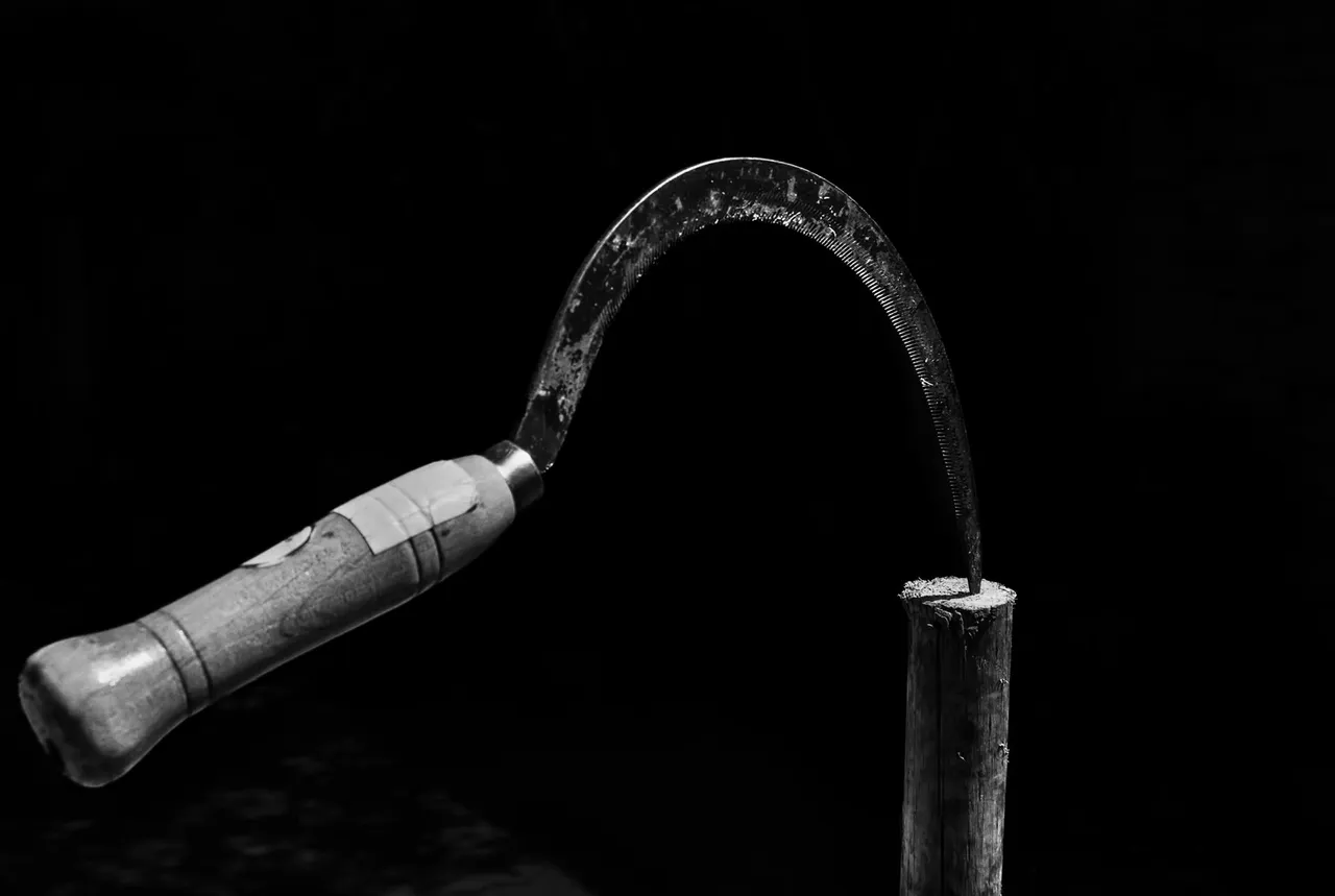 12-Rural Incursion_©Paulo Abrantes.jpg