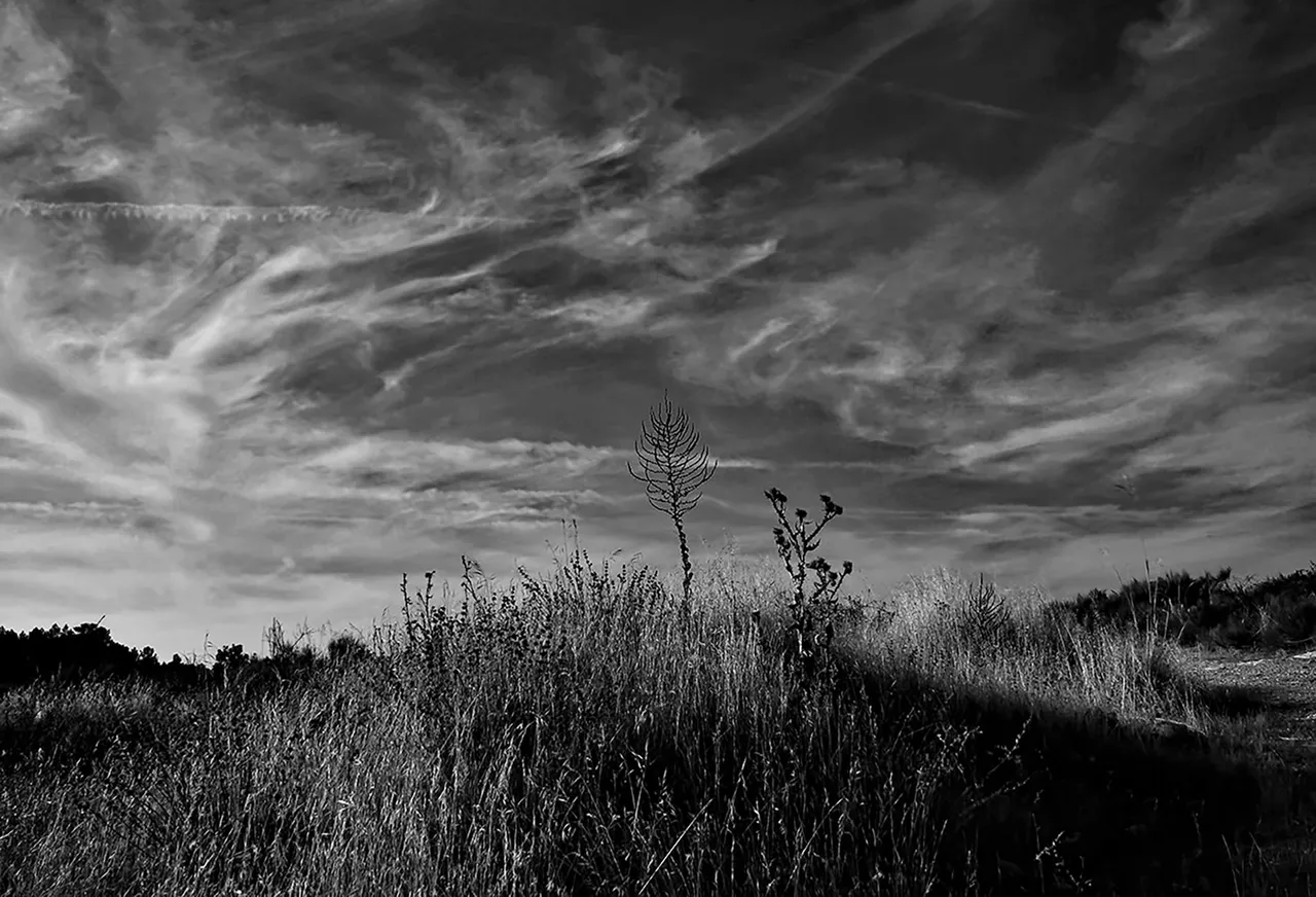 3-Being in the landscape.jpg