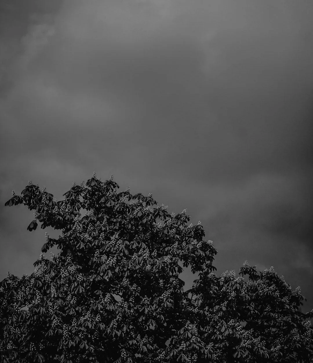 PSX_20210611_082447.jpg