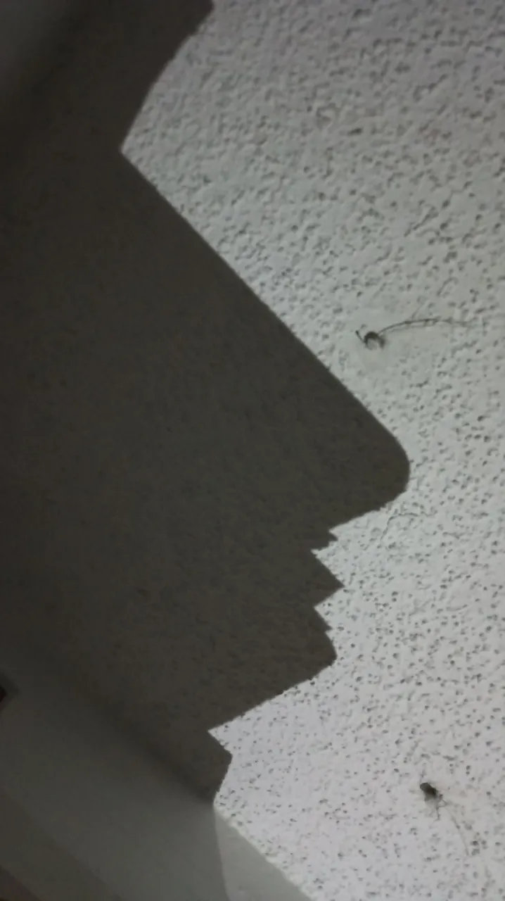 IMG_20250506_195555.jpg