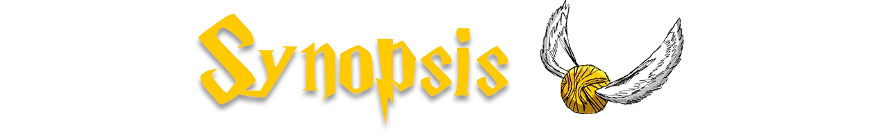 synopsis.png