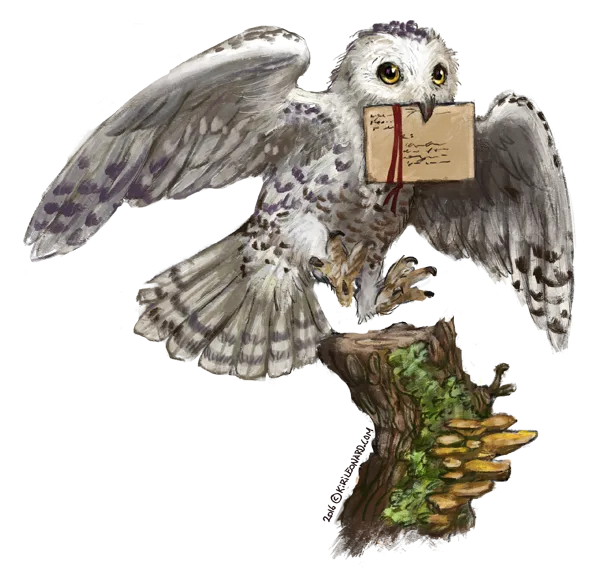 pngwing.com (7).png