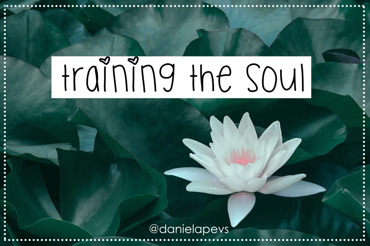 training the soul.jpg