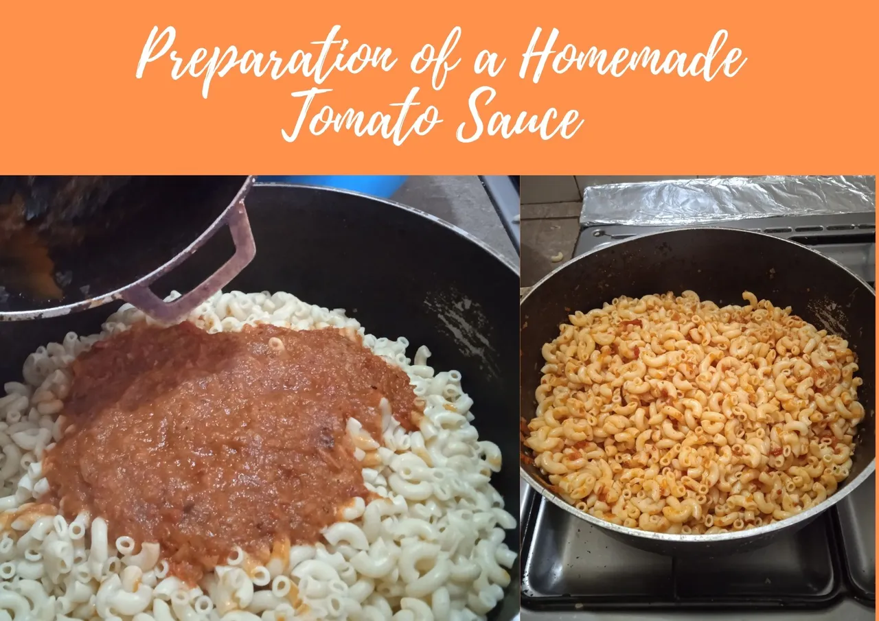 Preparation of a Homemade Tomato Sauce.jpg