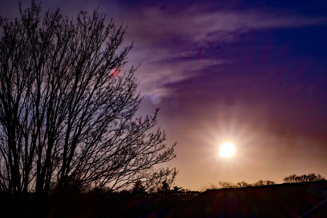 DSCF9398.jpg