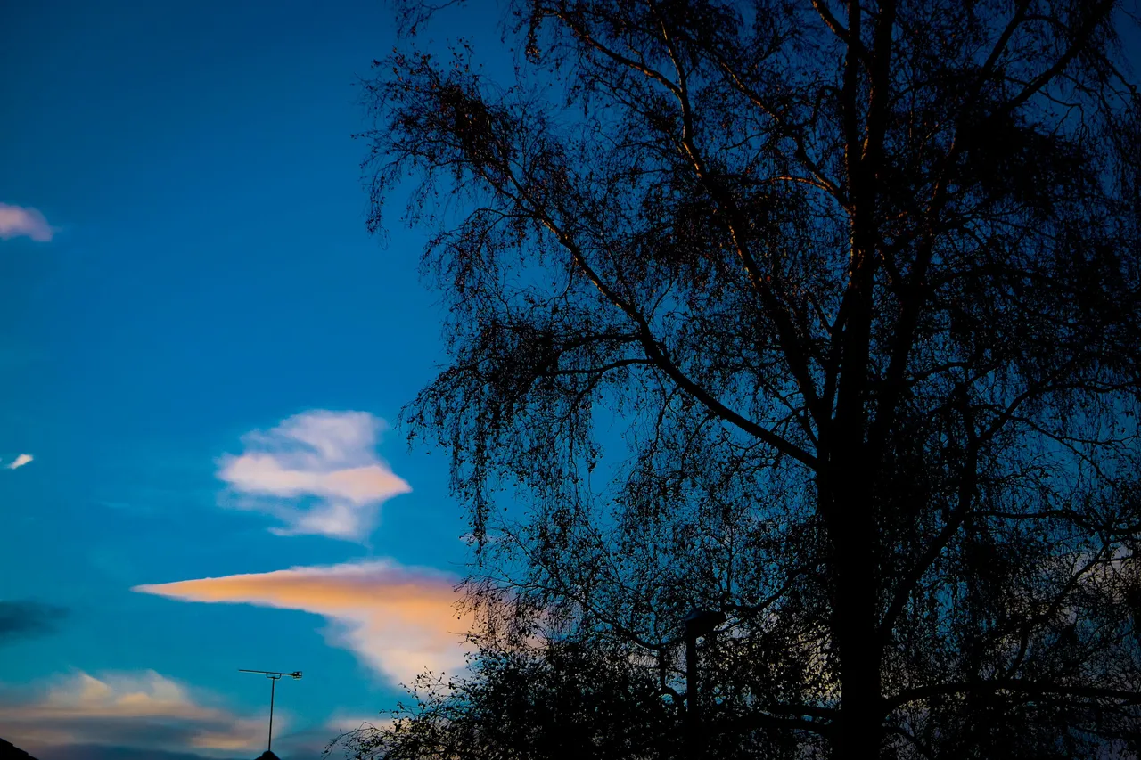 DSCF9242.jpg