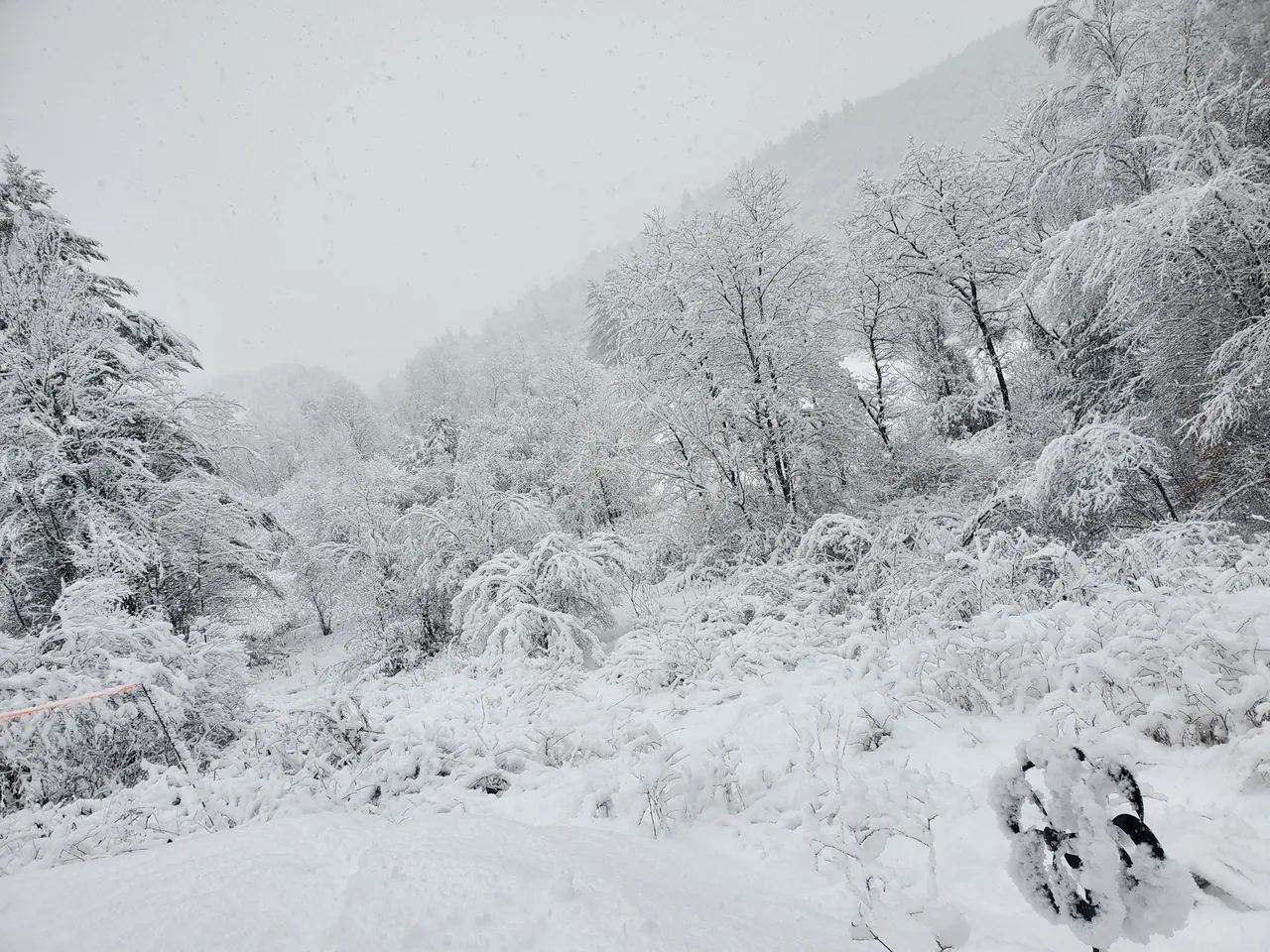 view snoooow.jpg