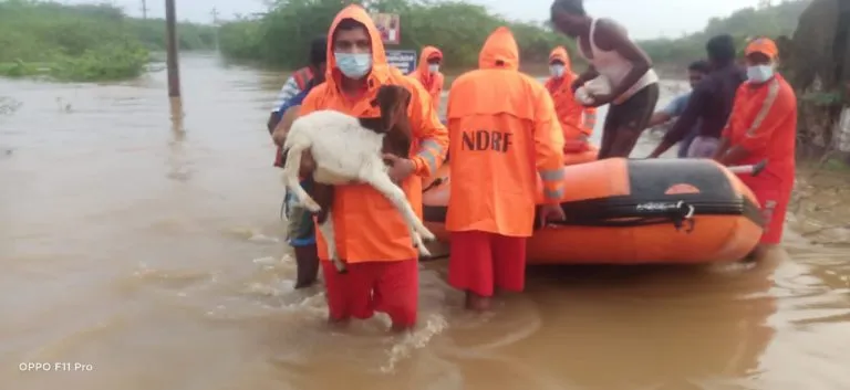 flood-rescue-Thoothukudi-Tamil-Nadu-January-2021-NDRF-768x353.jpeg