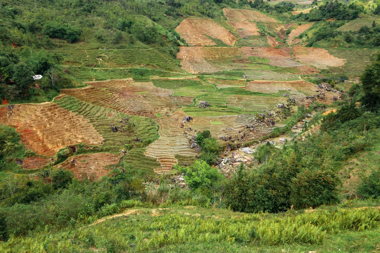 6M8A1989.jpg