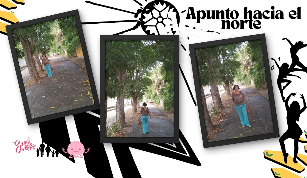 IMAG 3 Apunto hacia el norte.png