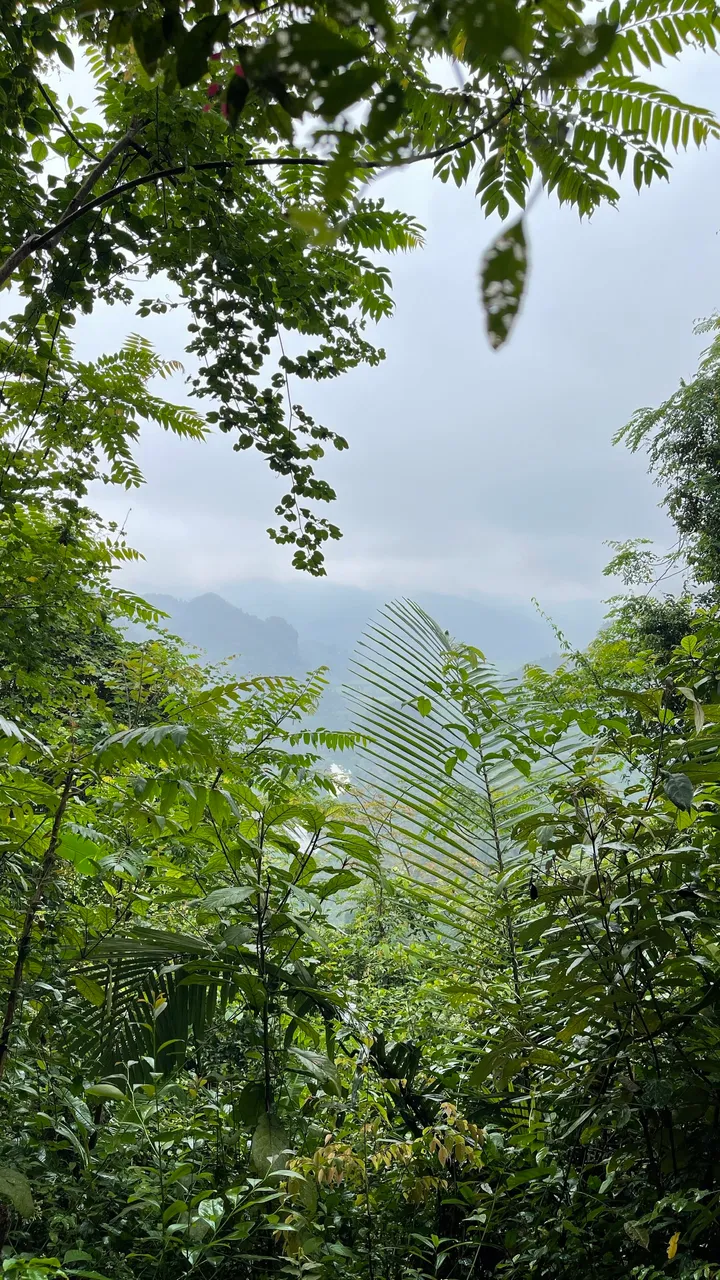 5B4489EC-B880-4B42-A669-BD430EA08052.jpeg