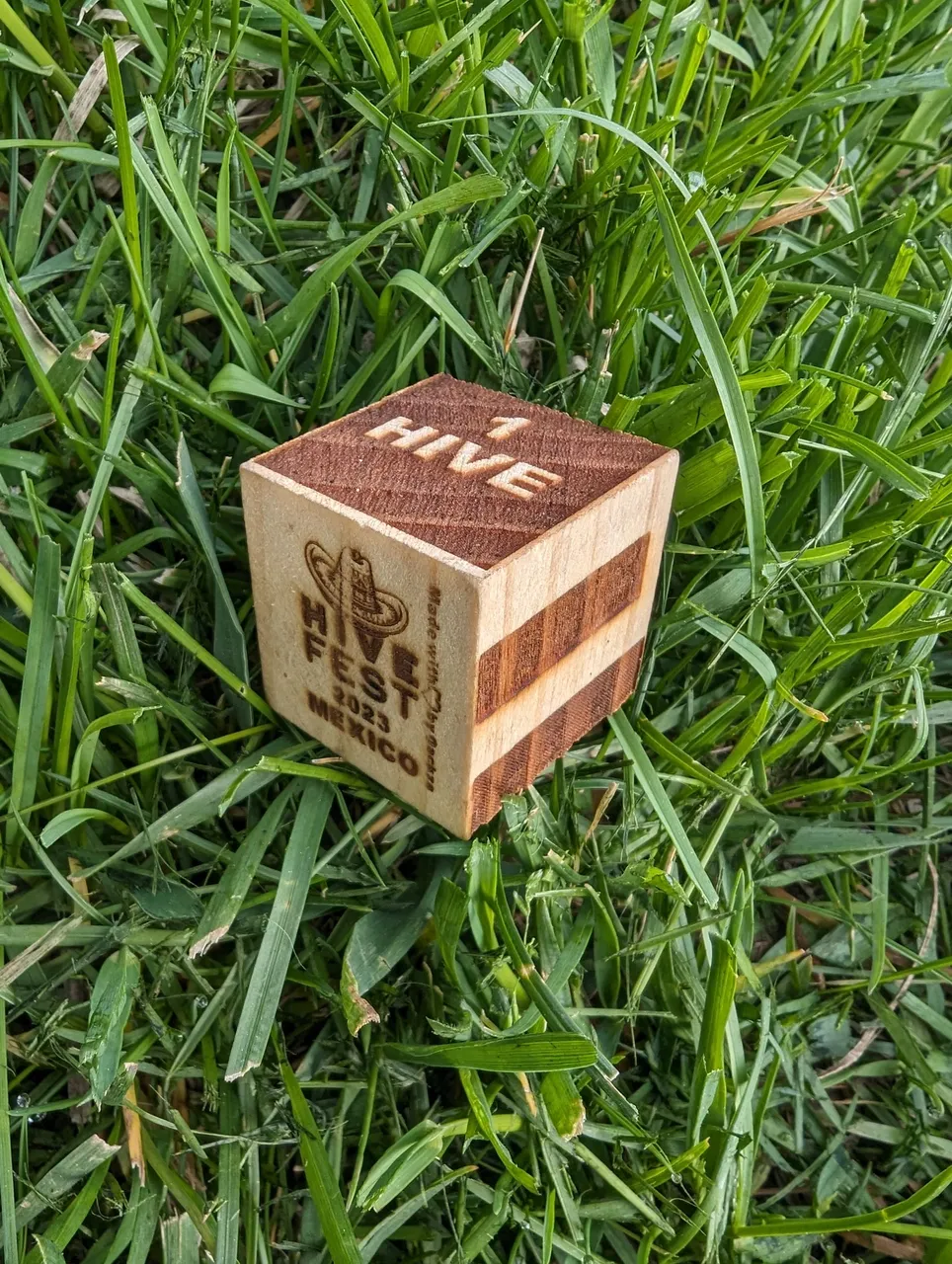 1000017425.jpg