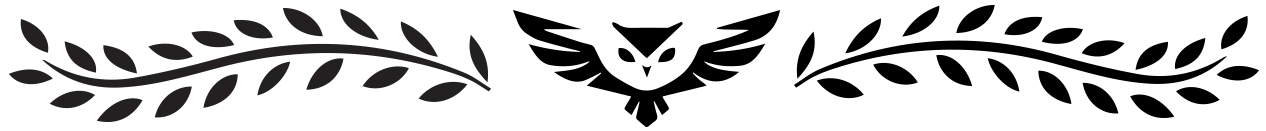 separador1 (1).png