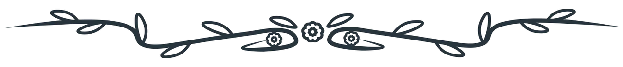 separador5.png