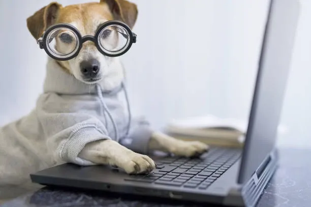 istockphoto-1214325113-612x612.jpg