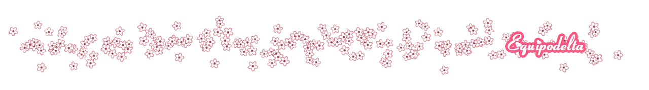 fs.png