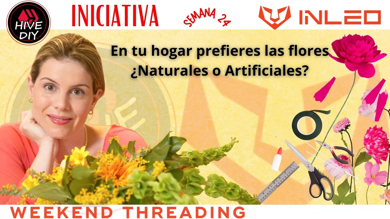 Copia de Iniciativa .jpg