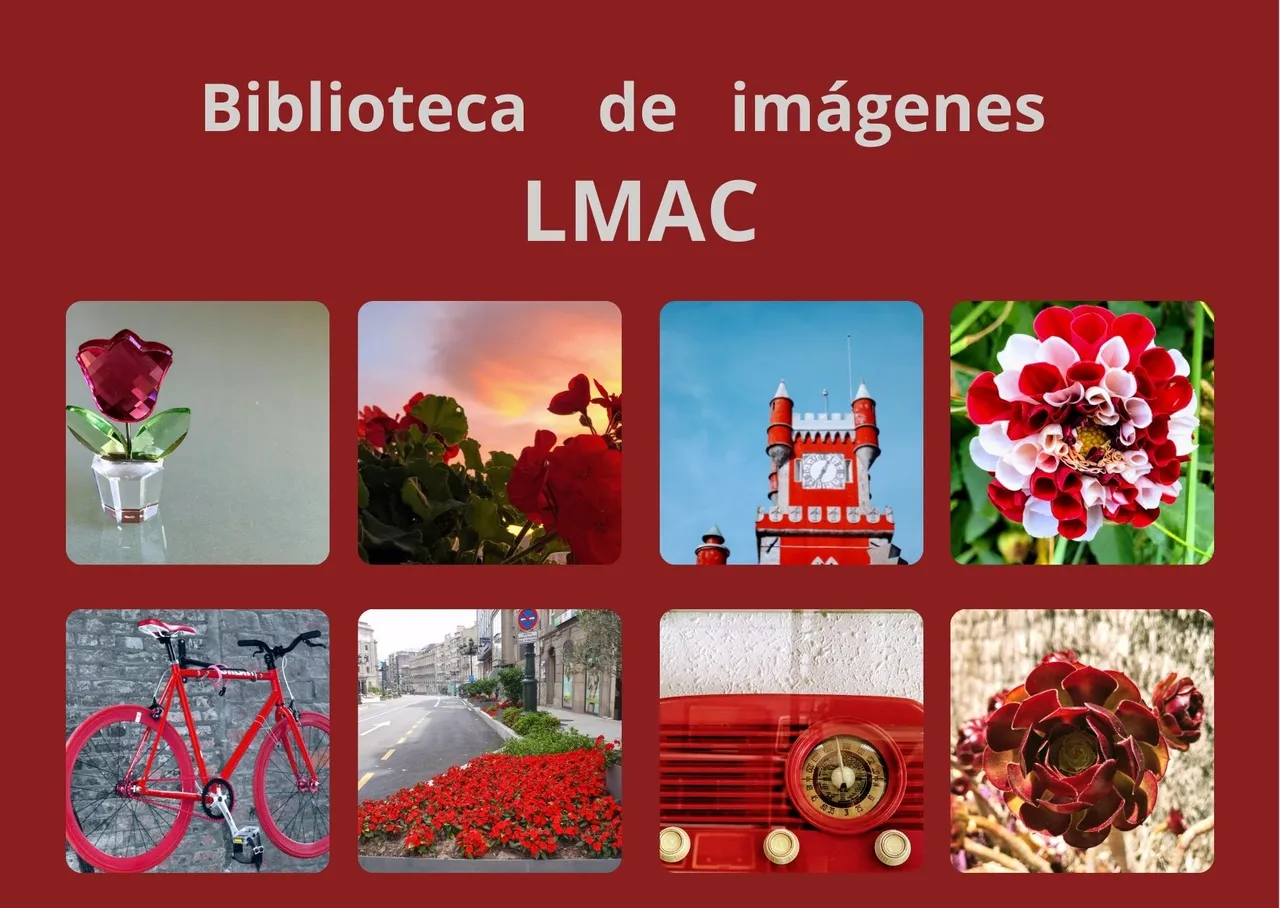 Biblioteca de imágenes LMAC.jpg