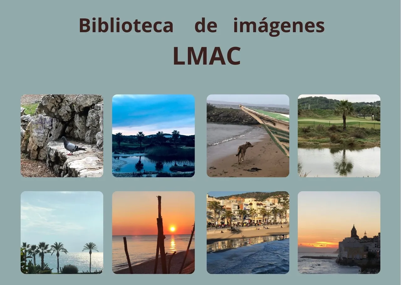 Biblioteca de imágenes LMAC (3).jpg